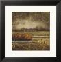 Field At Dawn I by Albert Williams Limited Edition Pricing Art Print