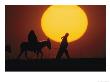 Silhouetted Man Leads A Donkey Bearing A Pregnant Woman, Reminiscent Of Joseph And Mary, Israel by Tom Nebbia Limited Edition Pricing Art Print