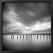 Twenty Sticks, Kohoku by Michael Kenna Limited Edition Pricing Art Print