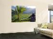 Taro Fields And Hanalei River On The North Shore by Jerry Alexander Limited Edition Print