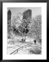 Central Park After A Snowstorm by Alfred Eisenstaedt Limited Edition Print