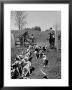 Hounds On A Fox Hunt by Peter Stackpole Limited Edition Pricing Art Print