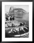 Shot Of The Rock Of Gibraltar by Ralph Crane Limited Edition Pricing Art Print