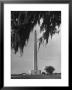 San Jacinto Memorial Top Of Monument Framed By Tree Branches Encased In Spanish Moss by Alfred Eisenstaedt Limited Edition Print