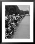People At Civil Rights Rally Soaking Their Feet In The Reflecting Pool At The Washington Monument by John Dominis Limited Edition Print