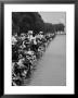 People At Civil Rights Rally Soaking Their Feet In The Reflecting Pool At The Washington Monument by John Dominis Limited Edition Print