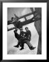 Relief Workers Hanging From Cable In Front Of A Giant Beam During The Construction Of Fort Peck Dam by Margaret Bourke-White Limited Edition Print