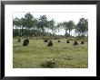 Nine Ladies Stone Circle, Derbyshire, England by Ethel Davies Limited Edition Pricing Art Print