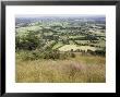 The Vale Of Evesham From The Main Ridge Of The Malvern Hills, Worcestershire, England by David Hughes Limited Edition Print