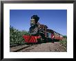 Steam Train From 1860, Reconstructed 1970, Maui Island, Hawaii, Usa by Ursula Gahwiler Limited Edition Print