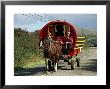 Horse-Drawn Gypsy Caravan, Dingle Peninsula, County Kerry, Munster, Eire (Republic Of Ireland) by Roy Rainford Limited Edition Print