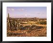 Alto Vista Cactus Desert, Aruba, West Indies, Dutch Caribbean, Central America by Sergio Pitamitz Limited Edition Pricing Art Print