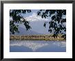 Mount Machapuchare (Machhapuchhare) Reflected In Phewa Lake, Himalayas, Nepal, Asia by N A Callow Limited Edition Print