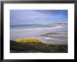 Mined Beach From The Falkland War, Near Stanley, Falkland Islands, South America by Geoff Renner Limited Edition Print