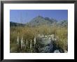 View To Puigmayor, The Highest Peak On The Island, Majorca (Mallorca), Balearic Islands, Spain by Ruth Tomlinson Limited Edition Print