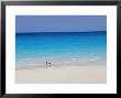 Cancun, Yucatan, Mexico, Central America by John Miller Limited Edition Print