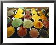 Spices, Grand Bazaar, Istanbul, Turkey, Eurasia by Sylvain Grandadam Limited Edition Print