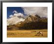 Xiaruoduojio Mountain And Horse, Yading Nature Reserve, Sichuan Province, China, Asia by Jochen Schlenker Limited Edition Print