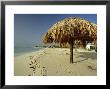 Playa Del Carmen, Caribbean Peninsula, Mexico, Central America by Robert Francis Limited Edition Print