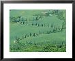 Road Winding Up Hillside, Orcia Valley, Tuscany, Italy, Europe by Bruno Morandi Limited Edition Print