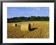 Hay Bales In A Field In Late Summer, Kent, England, Uk, Europe by David Tipling Limited Edition Print
