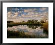 Chimney Creek Reflections, Tybee Island, Savannah, Georgia by Joanne Wells Limited Edition Print
