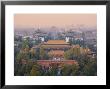 The Forbidden City, Elevated View, Beijing, China by Michele Falzone Limited Edition Print