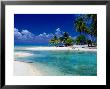 People Swimming In Lagoon, French Polynesia by Jean-Bernard Carillet Limited Edition Print