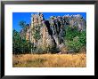 Limestone Towers On Walking Trail From Donna Cave To Royal Arch Cave, Queensland, Australia by Ross Barnett Limited Edition Print