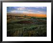 Grasslands And Rolling Hills In The Late Afternoon Sunlight by Charles Cook Limited Edition Print