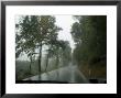 View Through The Window Of A Car Driving Through The Rain In Tuscany, Italy by Todd Gipstein Limited Edition Print