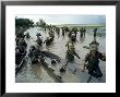 S.Vietnamese Soldiers Lure Viet Cong Guerrillas From Nearby Flooded Paddies During Vietnam War by Larry Burrows Limited Edition Pricing Art Print