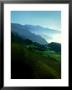 Timeless Big Sur by Jody Miller Limited Edition Print