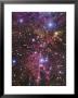 Stellar Nursery Located Towards The Constellation Of Monoceros by Stocktrek Images Limited Edition Print
