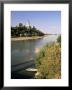 River Loire And St. Florent Le Veille, Western Loire, Pays De La Loire, France by Michael Busselle Limited Edition Print