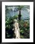 Statue In Glasshouse At The Botanic Gardens, Glasgow, Scotland, United Kingdom by Adam Woolfitt Limited Edition Print