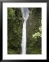 The Peace Waterfall On The Slopes Of The Poas Volcano, Costa Rica, Central America by R H Productions Limited Edition Print