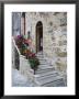 Flower-Lined Stairway, Petroio, Italy by Dennis Flaherty Limited Edition Print
