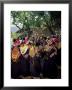 Kalash Women, Rites Of Spring, Joshi, Bumburet Valley, Pakistan, Asia by Upperhall Ltd Limited Edition Print