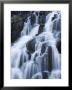 Detail Of Waterfall On Sneffels Creek, Yankee Boy Basin, Uncompahgre National Forest, Colorado, Usa by James Hager Limited Edition Print