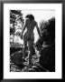 Young Nude Woman Walking Through Nature by Vincenzo Balocchi Limited Edition Print