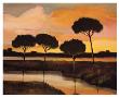 Sunset Over The Arno River by Judith D'agostino Limited Edition Print