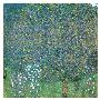 Rosiers Sous Les Arbres, C.1905 by Gustav Klimt Limited Edition Pricing Art Print