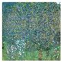 Rosiers Sous Les Arbres, C.1905 by Gustav Klimt Limited Edition Print