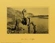 Bow River, Blackfoot by Edward S. Curtis Limited Edition Print