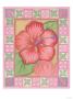 Hibiscus by Emily Duffy Limited Edition Print