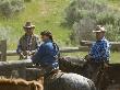 Mounted Cowhands In Corral After Roundup, Malaga, Washington, Usa by Dennis Kirkland Limited Edition Print