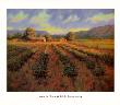 New Mexico Vineyards by Roger Williams Limited Edition Print
