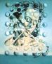 Galatea Aux Spheres by Salvador Dali Limited Edition Pricing Art Print