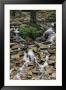 Water Flows Down A Rocky Hillside In Caldenonia State Park, Pennsylvania by Sam Abell Limited Edition Print